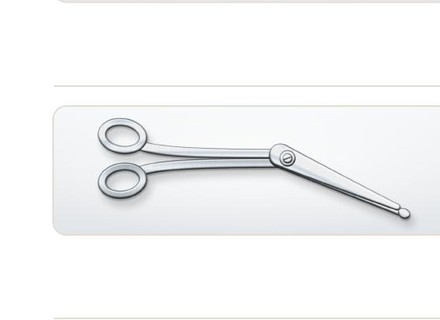 Lister bandage scissors and EMS instruments